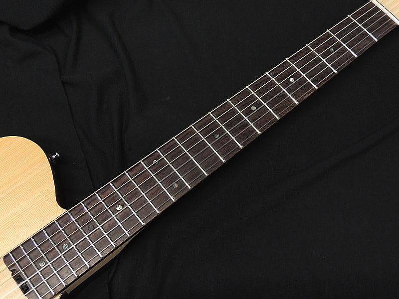 Amazon | SCHECTER OL-FL-N-2 SNTL ナイロン弦 シェクター 薄胴